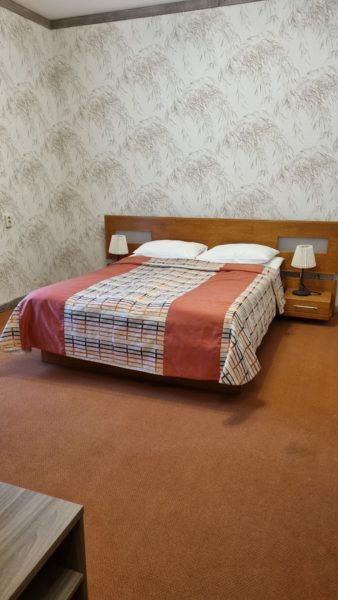 Стандарт с видом на лес в гостинице